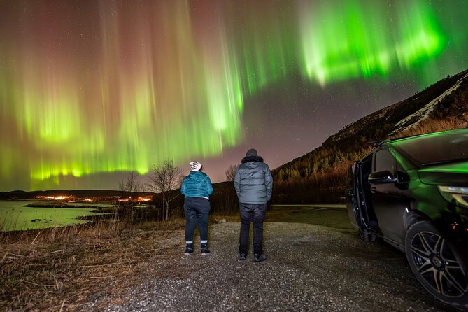 Northern Lights Tours Bodo Norway - Is $223.73 a fair price?