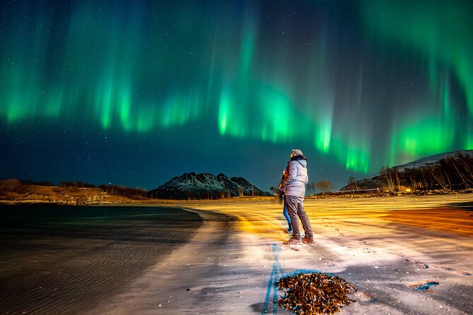 Northern Lights Tours Bodo Norway - The practical details that matter