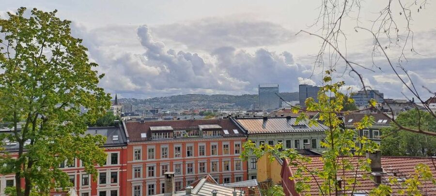 Norwegian Food Tour & Hidden Gems of Oslo - Key points to know before booking