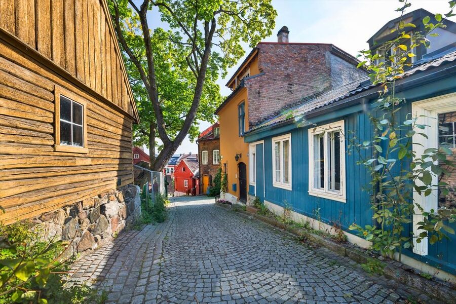 Norwegian Food Tour & Hidden Gems of Oslo - Starting at the tiger statue