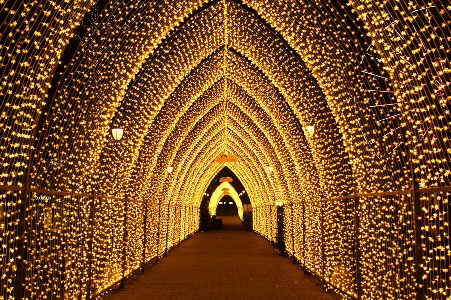 Oslo: 2-hour Christmas Private Walking Tour - Starting beside the Nobel Peace Center and Oslo Harbour