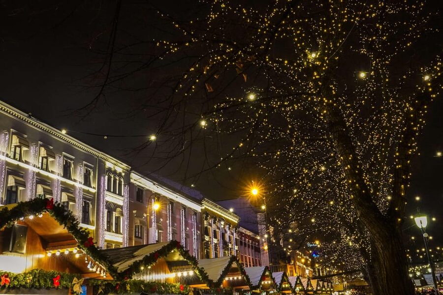 Oslo: 2-hour Christmas Private Walking Tour - The Royal Palace and the final stretch