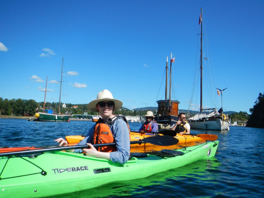 Oslo: 3-hour Kayaking Trip on the Oslofjord - What the small group changes