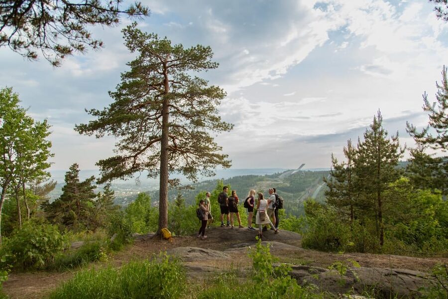 Oslo: Best View of the Oslofjord Hike - Frognerseteren and the first forest paths