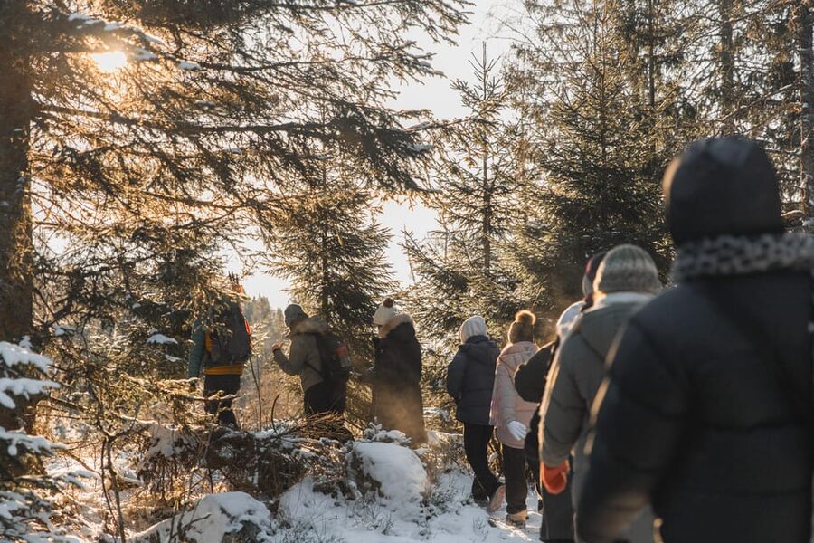 Oslo: Best View of the Oslofjord Winter Edition - Frognerseteren offers your first view