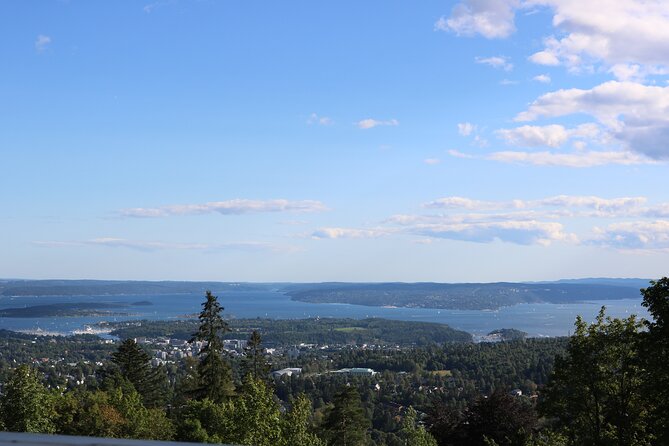 Oslo City Highlights with Fjord Cruise - Price, pace, and what you receive for $123.73