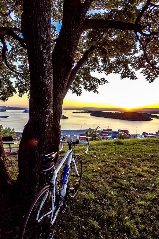 Oslo El-Bike Panorama Tour - Bike fit, safety, and who should skip it