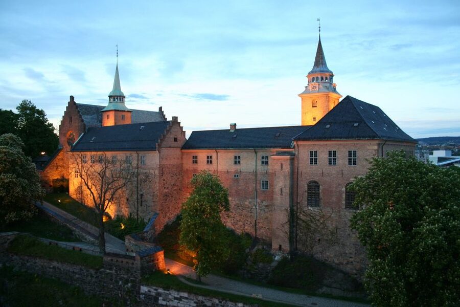 Oslo: Express Walk with a Local in 60 minutes - A quick way to meet Oslo