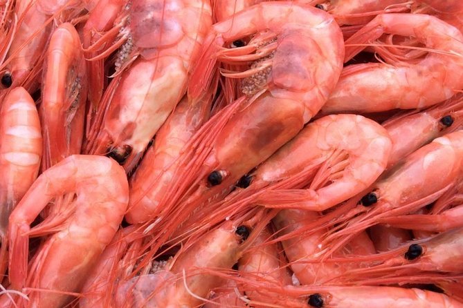 Oslo Fjord Evening Cruise with Shrimp Buffet on a Sailing Ship - What you get for about $90.25