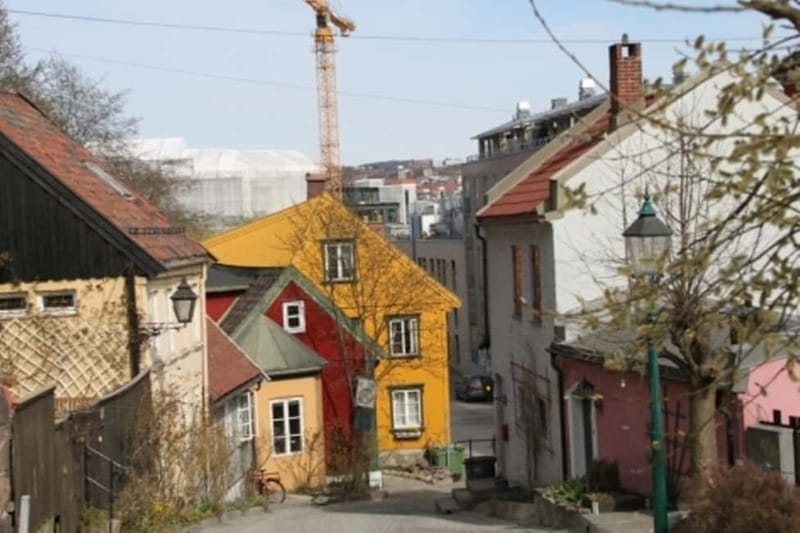 Oslo: Food Tasting and Walking Tour with a Local - Ending with a brown-cheese waffle