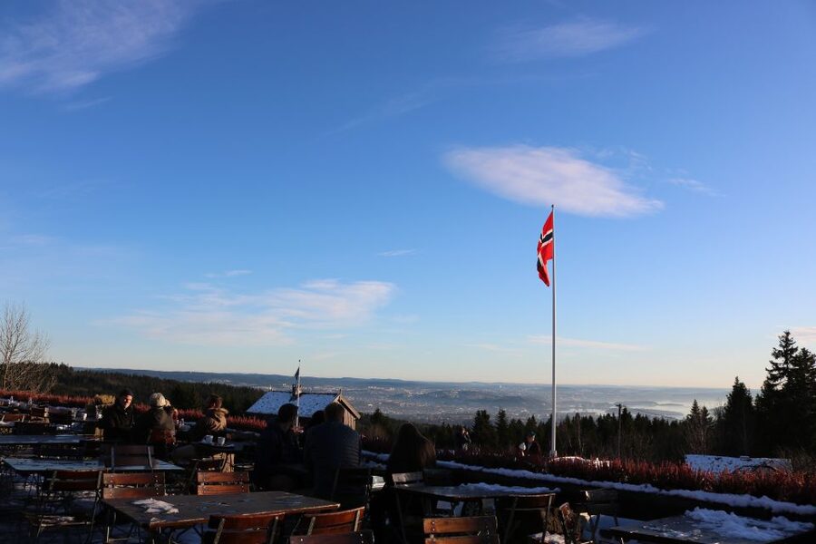 Oslo: Guided Oslo Highlights Tour by bus & Oslofjord cruise - The guides make the coach portion memorable