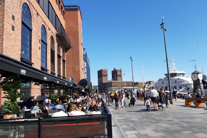 Oslo Highlights. Best Private Walking Tour of Oslo with a Local Guide. - Museums, libraries, and optional indoor stops
