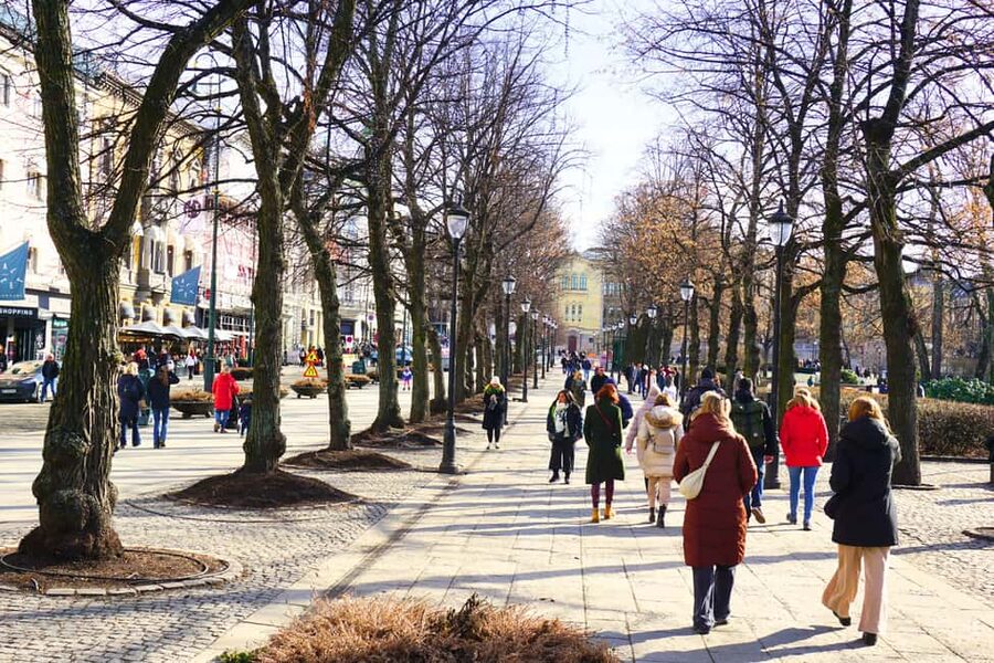 Oslo: History, Art and Secrets Tour - What the small group changes
