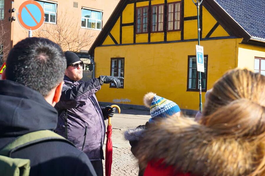 Oslo: History, Art and Secrets Tour - From the Royal Palace to Aker Brygge