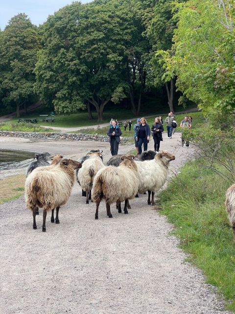 Oslo Island Walks: Island Hopping Tour - The first ferry sets the tone