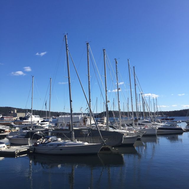 Oslo: Norwegian Explorers and Culture 3 Museum Tour - Should you book the Oslo explorers and culture tour?