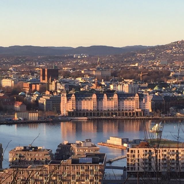 Oslo: Panoramic View and Sculpture Park Walk - The guide can shape the experience