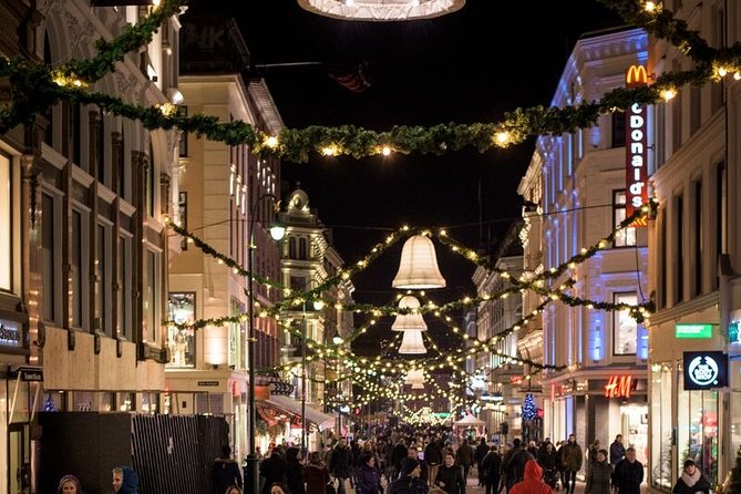 Oslo: Private VIP City Tour by Luxury Minivan with Driver & Guide - Is $506.99 Per Person a Fair Price?