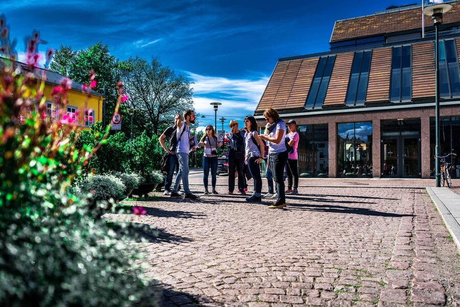Oslo: Private Walking Tour - Karl Johans gate and Norway’s Parliament