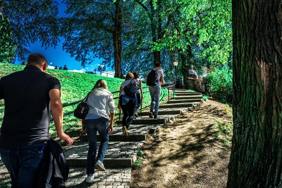 Oslo: Private Walking Tour - Price, private format, and guide quality