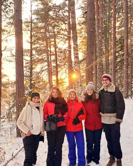 Oslo: Scenic Forest Hike with Dog & Local Guide - Key points at a glance