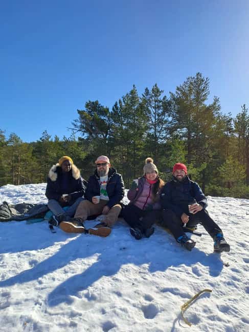 Oslo: Scenic Forest Hike with Dog & Local Guide - Why this forest hike feels different from a standard Oslo outing