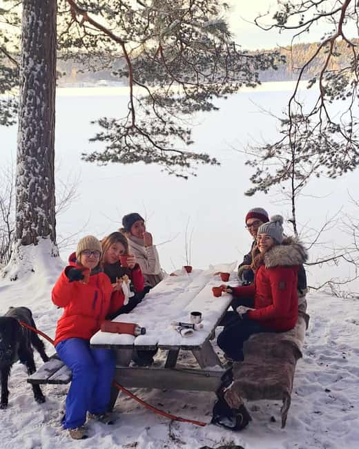Oslo: Scenic Forest Hike with Dog & Local Guide - Meeting Ingunn and Nero at Kolbotn