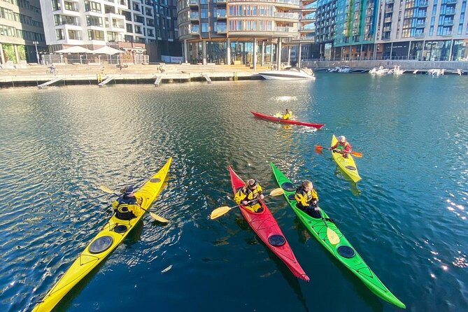 Oslo Sea Kayak Tour: Explore The Incredible Oslofjord - Starting in Tjuvholmen, Oslo’s waterside front door