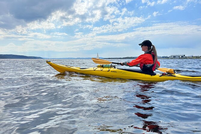 Oslo Sea Kayak Tour: Explore The Incredible Oslofjord - Munch and Deichman Bjørvika frame the modern harbor