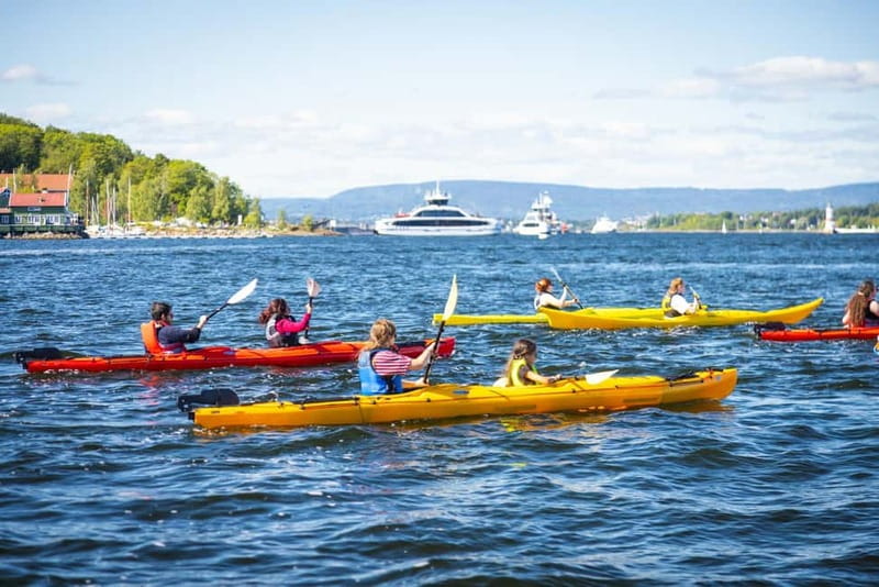 Oslo Sea Kayak Tour “Fjord City” - Meeting Mad Goats on the Tjuvholmen dock