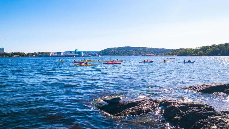 Oslo Sea Kayak Tour “Fjord City” - Learning the basics before setting out