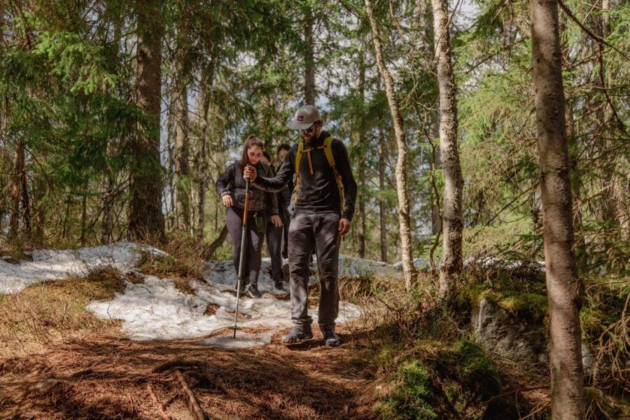 Oslo: Skjennungstoppen Wildlife Forest Hiking Tour - Key points to know before you book