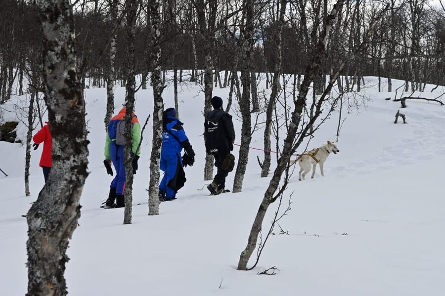 Oslo: Snowshoeing in the Forest with Norwegian BBQ - Quick takeaways from the forest outing