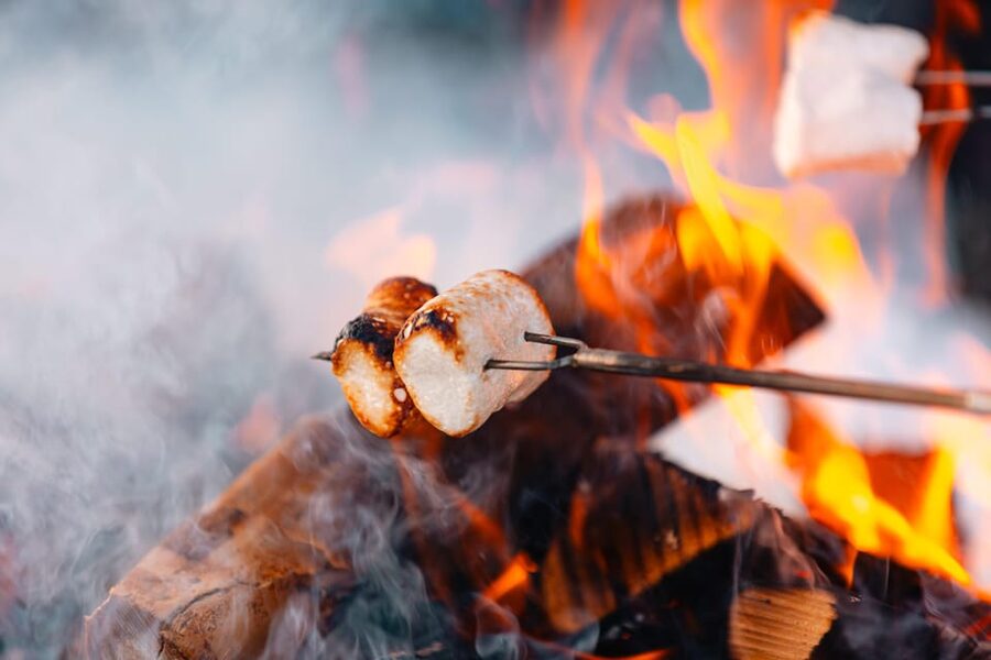 Oslo: Snowy Forest Torchlight Walk with Campfire - The guides make a real difference