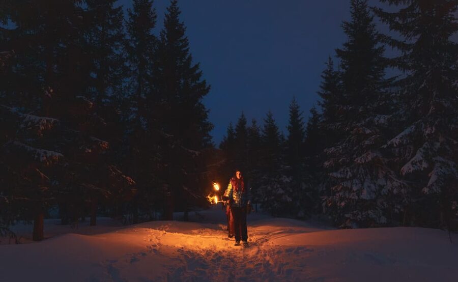 Oslo: Snowy Forest Torchlight Walk with Campfire - A short walk to the frozen lake