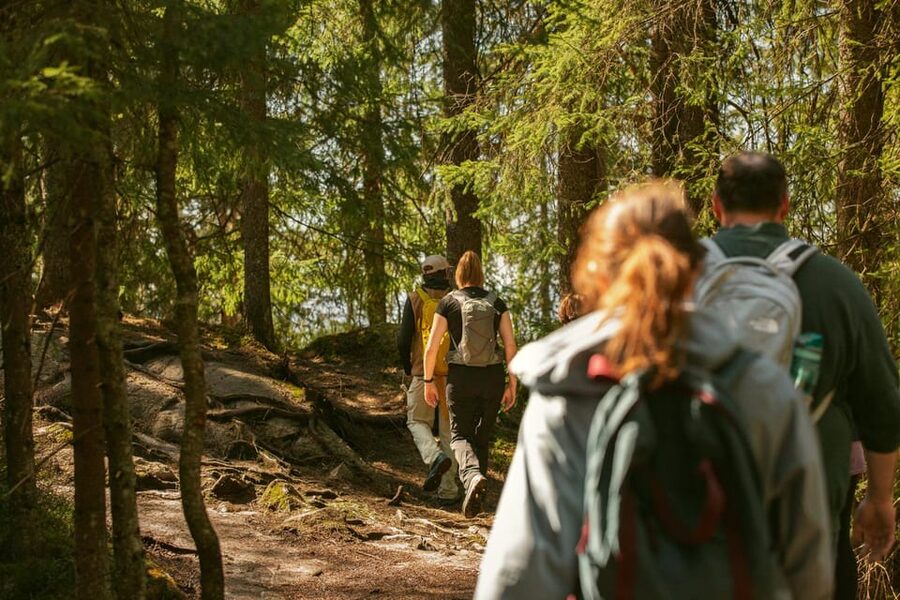 Oslo: The Spectacular Holmenkollen Walk - The uphill metro ride to Frognerseteren