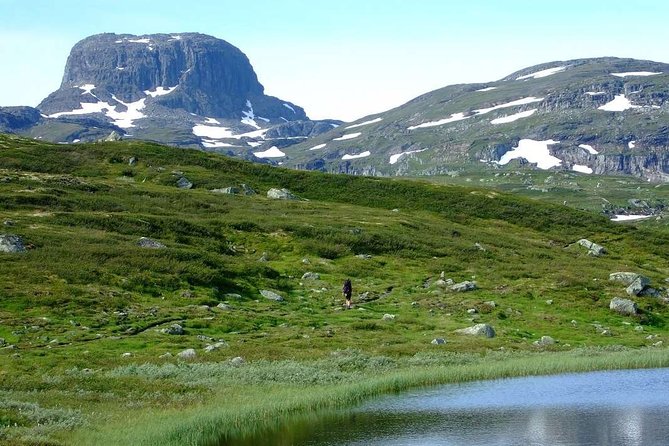 Oslo To Sognefjord Private Full Day Roundtrip Including Flam Railway - Is the $1,083.02 price fair?