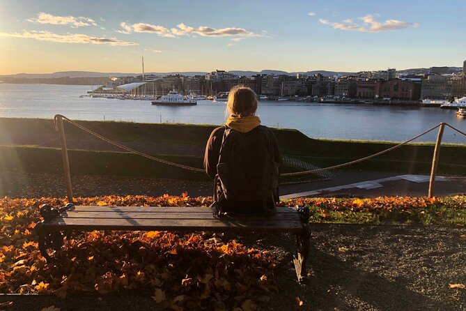 Oslo Unveiled: Private Walking Tour - Aker Brygge shows Oslo’s waterfront makeover