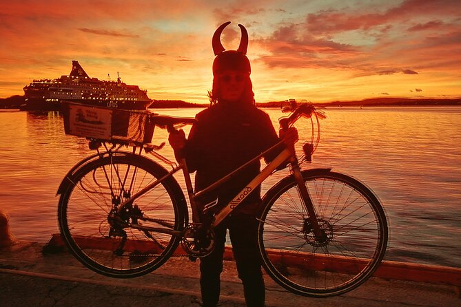 Oslo Winter Highlights Bike Tour - Three hours that put Oslo in order
