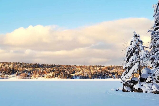 Oslo: Winter wonderland forest hike & campfire with a dog - Key details before you book