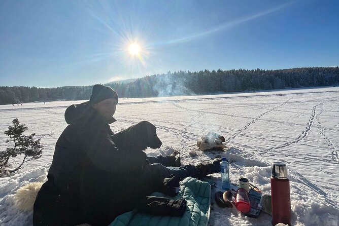Oslo: Winter wonderland forest hike & campfire with a dog - What you are paying for at $150.07