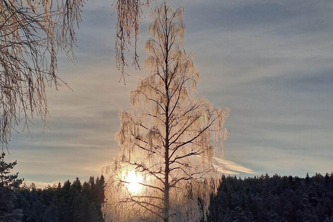 Oslo: Winter wonderland forest hike & campfire with a dog - Who should book this hike
