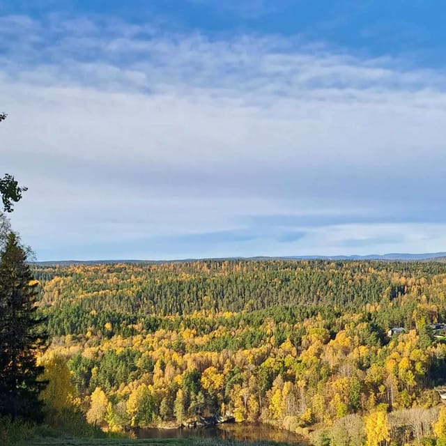 Oslo: Yoga & Hiking with a dog - From Oslo to Kolbotn in 20 minutes