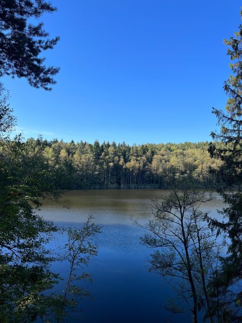Oslo: Yoga & Hiking with a dog - Optional swimming and a simple lakeside break