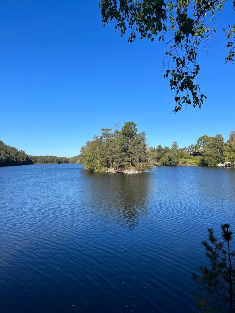 Oslo: Yoga & Hiking with a dog - Should you book it?