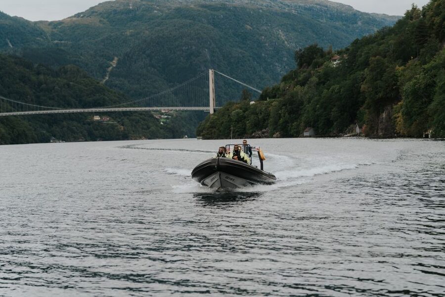 Øystese: Hardangerfjord RIB safari to the Fyksesund branch - Key points to know before you go
