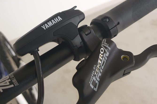 Premium eBike rental - Why this Bodø eBike rental is worth considering