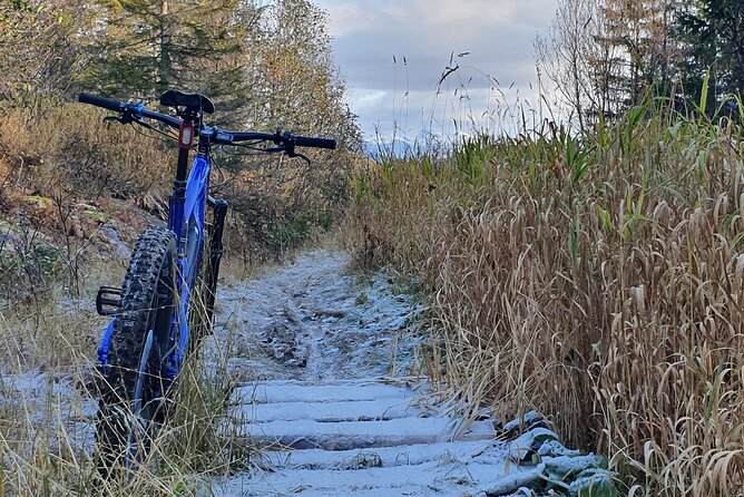 Premium eBike rental - Extending the ride to Soløyvatnet or Kjerringøy
