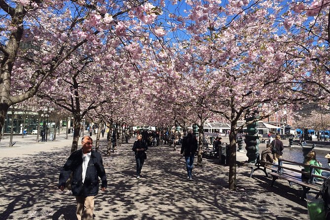 Private 4h VIP city tour by limousine car and guide in Stockholm - What the guide adds to the experience