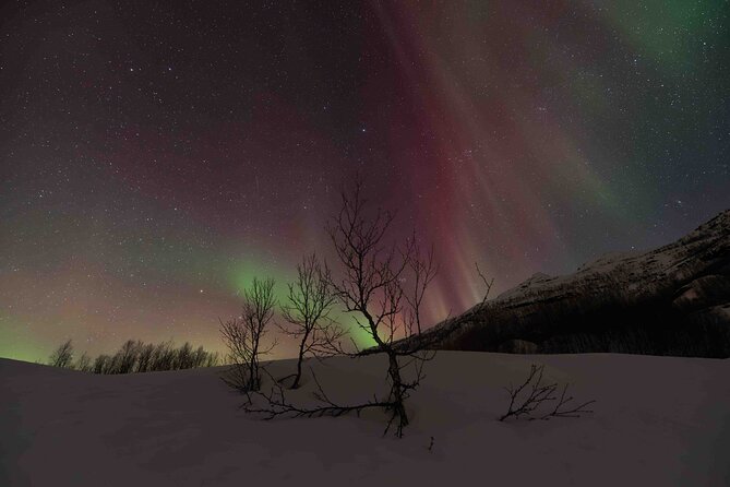 Private Aurora Hunting with Professional Photographer from Alta - Key Points Before You Book